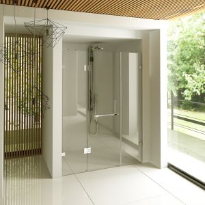 Lineale Glass Shower Enclosure