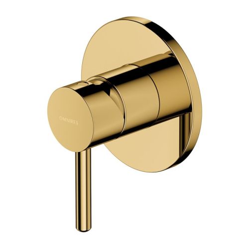 Y GOLD Concealed Mixer