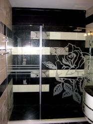 Linea Glass Shower Enclosure