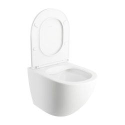OTTAWA 49 RIMLESS white Matt Compact Hung Toilet