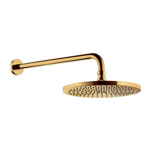 Y GOLD 250 Shower Head and Wall Arm